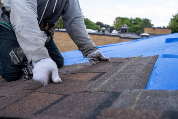Best Commercial Roofing Services  in Marissa, IL