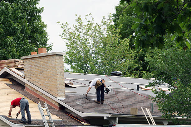 Best Flat Roof Repair Services  in Marissa, IL