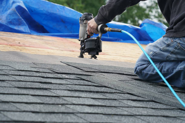 Best Gutter Installation and Roofing  in Marissa, IL